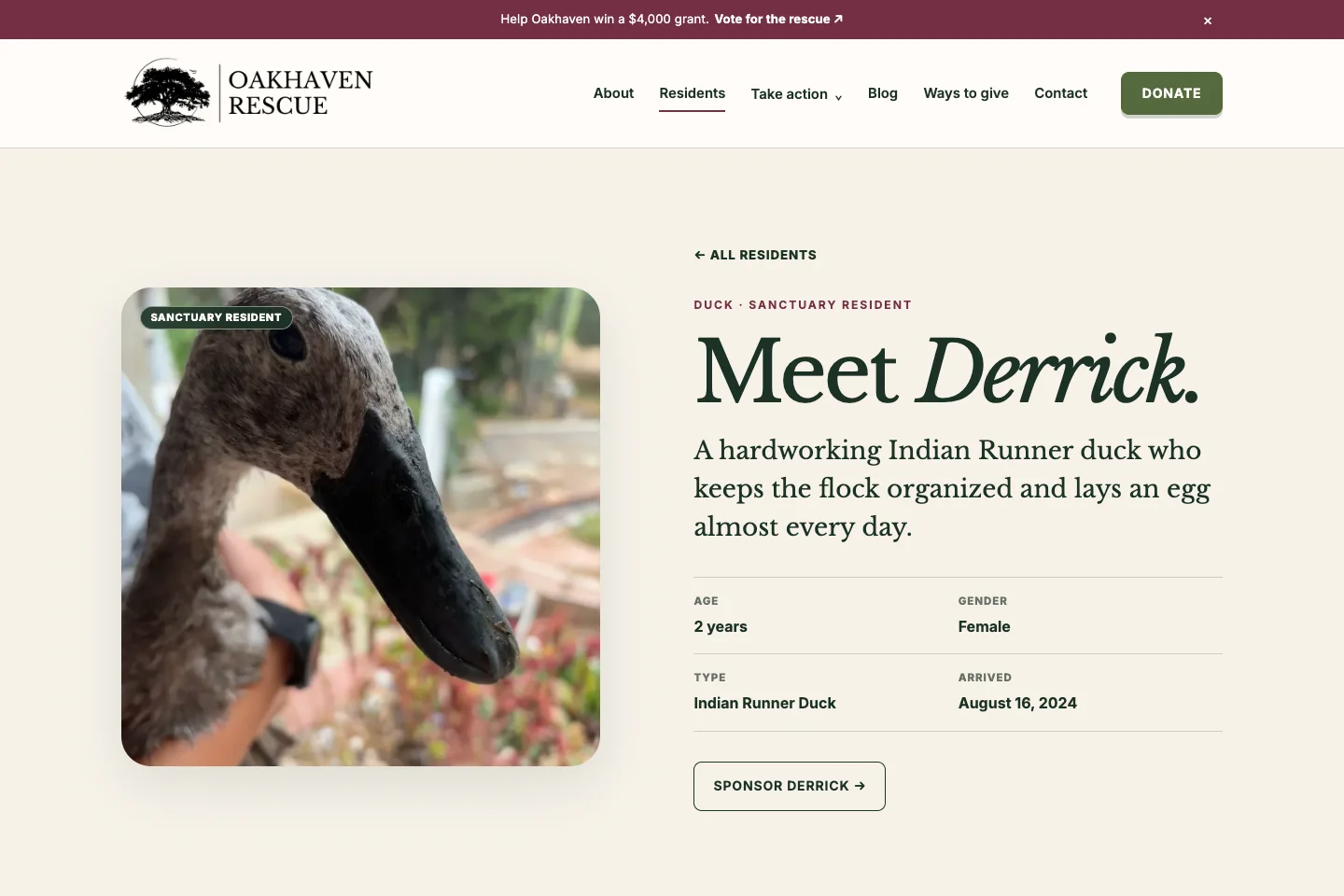 Derrick’s profile on the live Oakhaven website